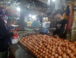 Jelang Ramadhan, Harga Telur Kembali Melonjak Naik