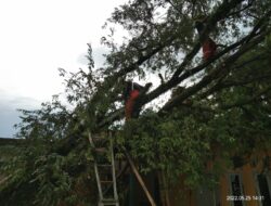 Tiga Rumah Warga Curug Tertimpa Pohon Tumbang