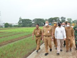 Buka Ketahanan Pangan, Bupati Tangerang Launching Pusat Agropolitan