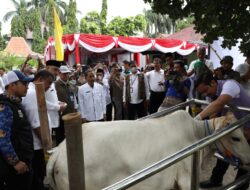 Bupati Tangerang Salurkan Bantuan Benih Padi, Pupuk Dan Sapi Kepada Petani Yang Gagal Panen