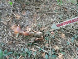 Warga Tigaraksa Temukan Potongan Kaki Manusia Mengambang di Kali Cimanceuri