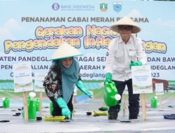 Kendalikan Inflasi, BI Gandeng Pemkab jadikan Pandeglang Sentra Bawang Merah dan Cabai