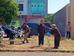 Koperasi AKR Syariah Tanam dan Serahkan 500 Bibit Pohon
