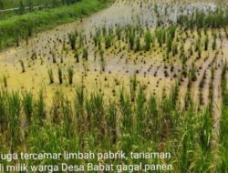 Seolah Kebal Hukum, PT Dwi Karya Bentonit Ternyata Pernah Dilaporkan 5 Tahun Lalu