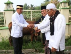 Rayakan Idul Adha, Maesyal Rasyid Ajak Masyarakat Tanamkan Jiwa Kebersamaan