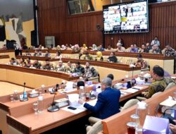 537 Perusahaan Kelapa Sawit Beroperasi Tanpa HGU, Menteri Nusron Sampaikan akan Ada Sanksi