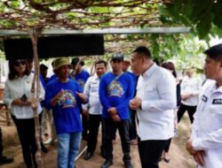 Wamen ATR/Waka BPN Antusias Kunjungi Kampung Reforma Agraria di Palu, Contoh Sukses Pemberdayaan Masyarakat