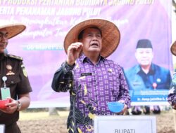 Dukung Program Ketahanan Pangan, Bupati Tangerang Serahkan Bantuan Alat Pertanian
