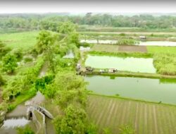 Mengenal Desa Rejoagung, Potensi Desa Meningkat Setelah Program Penataan Akses Reforma Agraria