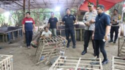 Polresta Tangerang Gerebek Judi Sabung Ayam di Jayanti, Dua Terduga Pelaku Ditangkap